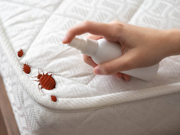 Pest Control Cost in Galatia, IL